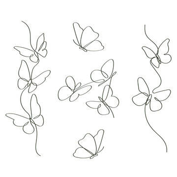 Hand-drawn continuous line art butterflies artwork elegant linear illustration 