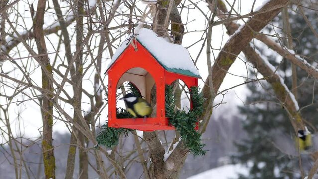 Small birds are feeding in a feeder in a winter park.