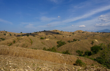 Image of the mountain during the dry season without green trees Suitable for making background images.