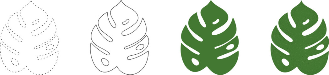 A set of vector monstera leaves on a transparent background. 4 types of leaves: dotted, contour, green, with texture.