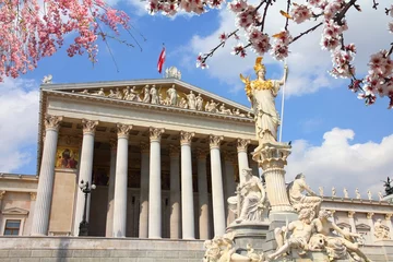 Poster Austrian Parliament building in Vienna. Spring time cherry blossoms. © Tupungato
