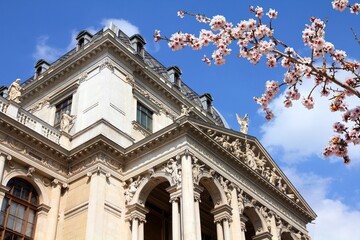 Vienna University. Spring time cherry blossoms.