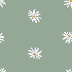Watercolor seamless floral pattern. Illustration Flowers Daisies drawn by hand. Spring botanical print.