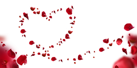 heart from rose petals on a transparent background, mother's Day.