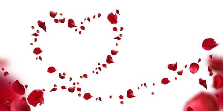 heart from rose petals on a transparent background, mother's Day.
