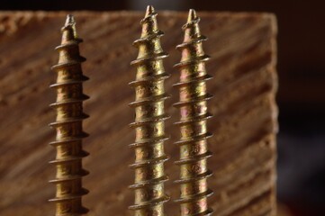 Self-tapping screws on the background of a wooden board. Close-up
