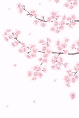 手描き風の桜の花_メッセージカード背景イラスト_Clip art of cherry blossom for background