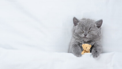 Cute kitten sleep with favorite toy bear under white warm blanket on a bed at home.Top down view....