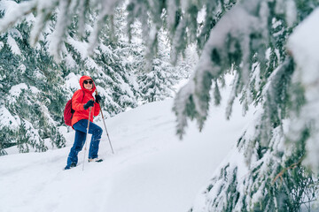 Smiling female trekker dressed red jacket in sunglases with trekking poles walking by snowy slope with fir-trees covered snow, Low Tatra mountains, Slovakia. Beauty in Nature and active people concept