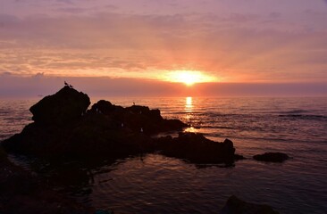 Fototapeta premium 礼文島から望む日の出