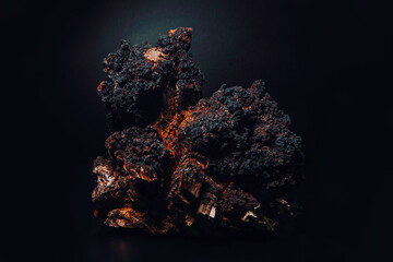Chaga Siberian Mushroom