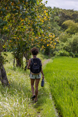 Indonesia, Bali, Rear view of female tourist walking in nature