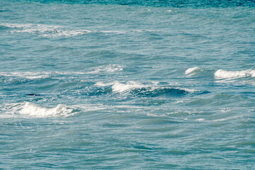 Splashing waves of the sea. Background with the summer sea and clear water.