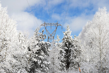 Power line in the snowy forest