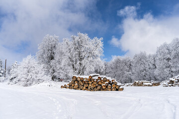 Timber warehouse under the snow - 568792445