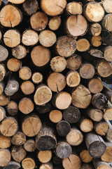Background of dry chopped firewood. Natural texture. Wall of wood