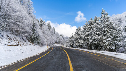 Mountain road landscape covered in snow in winter - 568792697
