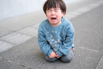 イヤイヤ期の子供