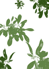 branches avec feuilles vertes 