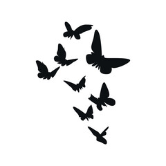 Various vector silhouettes of butterflies in different positions.