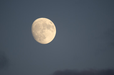 Waxing gibbous moon at sunset over Kiyosato. Hokkaido. Japan.