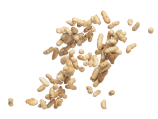 Boiled peanut fly explosion, boiled peanut bean fall down pour. Tropical boiled peanut throw in air. White background Isolated high speed shutter, freeze action