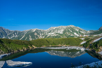 Obraz premium 立山 みくりが池