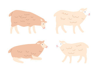 Domestic Sheep Standing and Lying. Livestock with Curly Wool. Isolated on White Background. Cartoon Vector Illustration