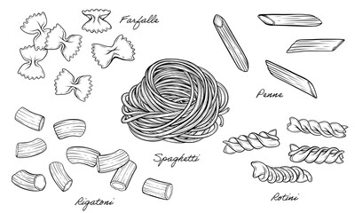 Set of pasta spaghetti, rotini, rigatoni, farfalle, penne vector line art illustration