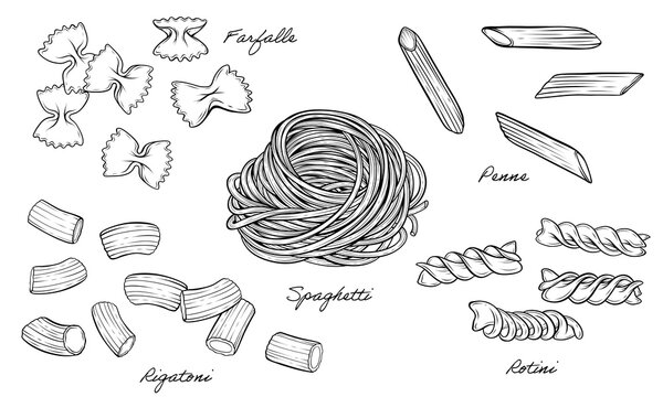 Set of pasta spaghetti, rotini, rigatoni, farfalle, penne vector line art illustration