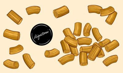 Rigatoni pasta colour vector illustration 