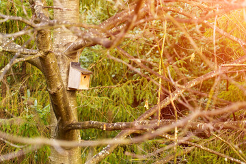 Homemade wooden birdhouse in the spring forest
