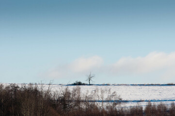 Landscape, in Poland, 