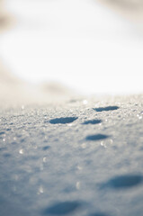 Animal tracks in winter, Snow in the mountains, 
details in the snow, makro