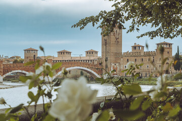 Verona Italy City Street River Landscape