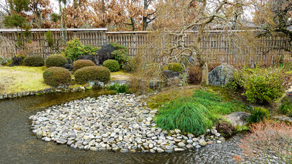 flowers in the garden