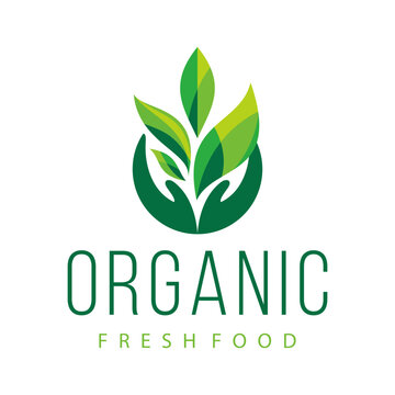 Organic Fresh Food Logo design. silhouette of Two Hands holding fresh abstract leaves.eps