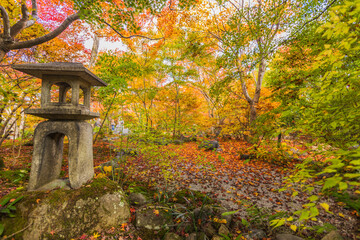 京都嵯峨野　宝筐院の紅葉