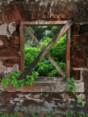 Una ventana a la selva