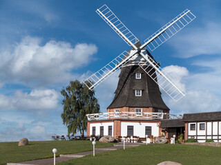 historische Windmühle an der Ostseeküste - obrazy, fototapety, plakaty