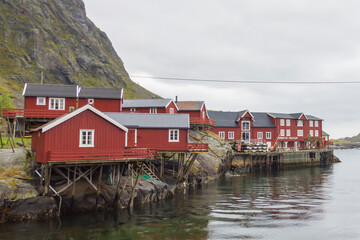 Obraz premium Beach Lofoten Islands 