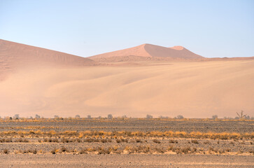 Fototapeta na wymiar Namib Desert Dunes around Sossusvlei, HDR Image