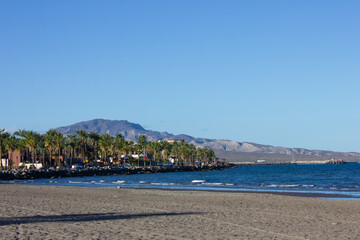 Beach with palm trees and a mountain behind