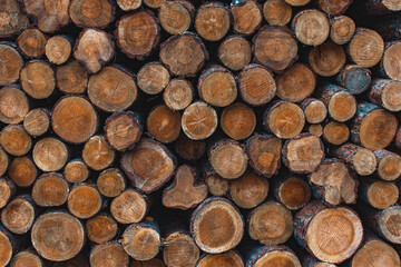 Felled trees lying in a heap on top of each other, side view