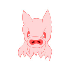 Angry Pig character on the white background