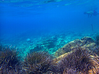 Fototapeta na wymiar pesca subacquea