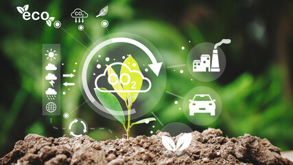 Planting trees, clean air concept, non-toxic and environmentally conscious.