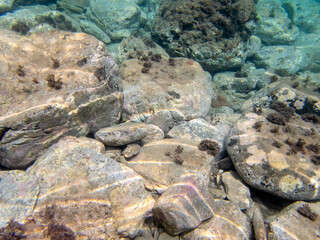 Fondale marino Taormina