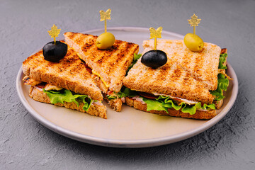 Pressed panini with grilled chicken breast fillet