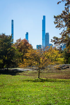 View of modern skyscrapers from Central Park, an urban park in New York City located between the Upper West and Upper East Sides of Manhattan, New York City, USA